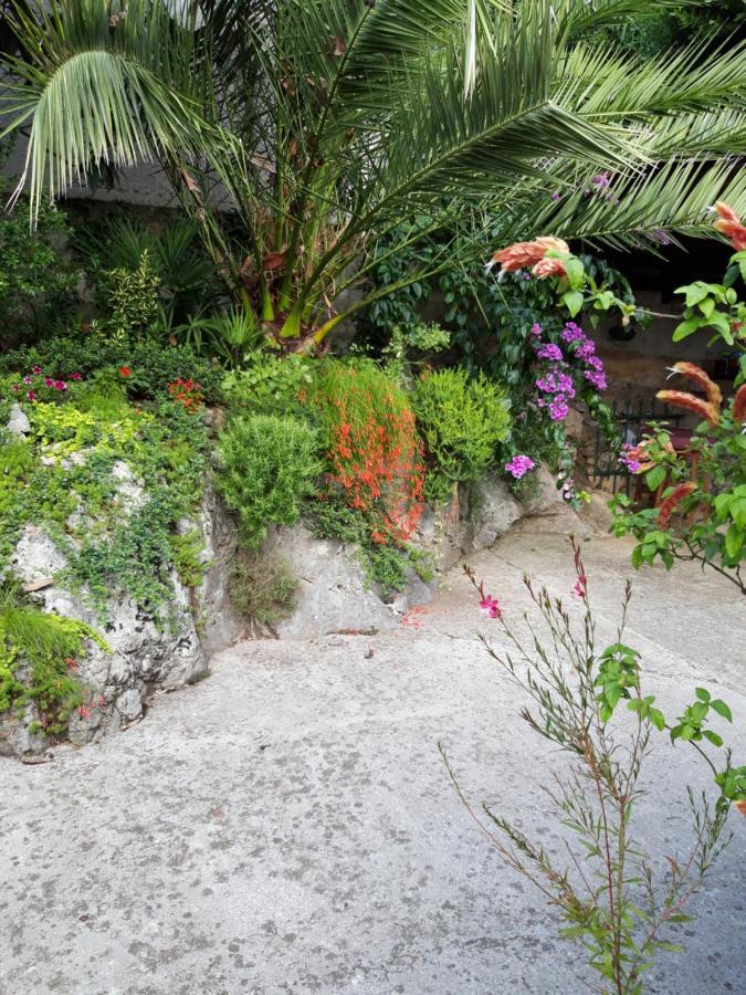 Panoramico Apartment Opatija Zewnętrze zdjęcie