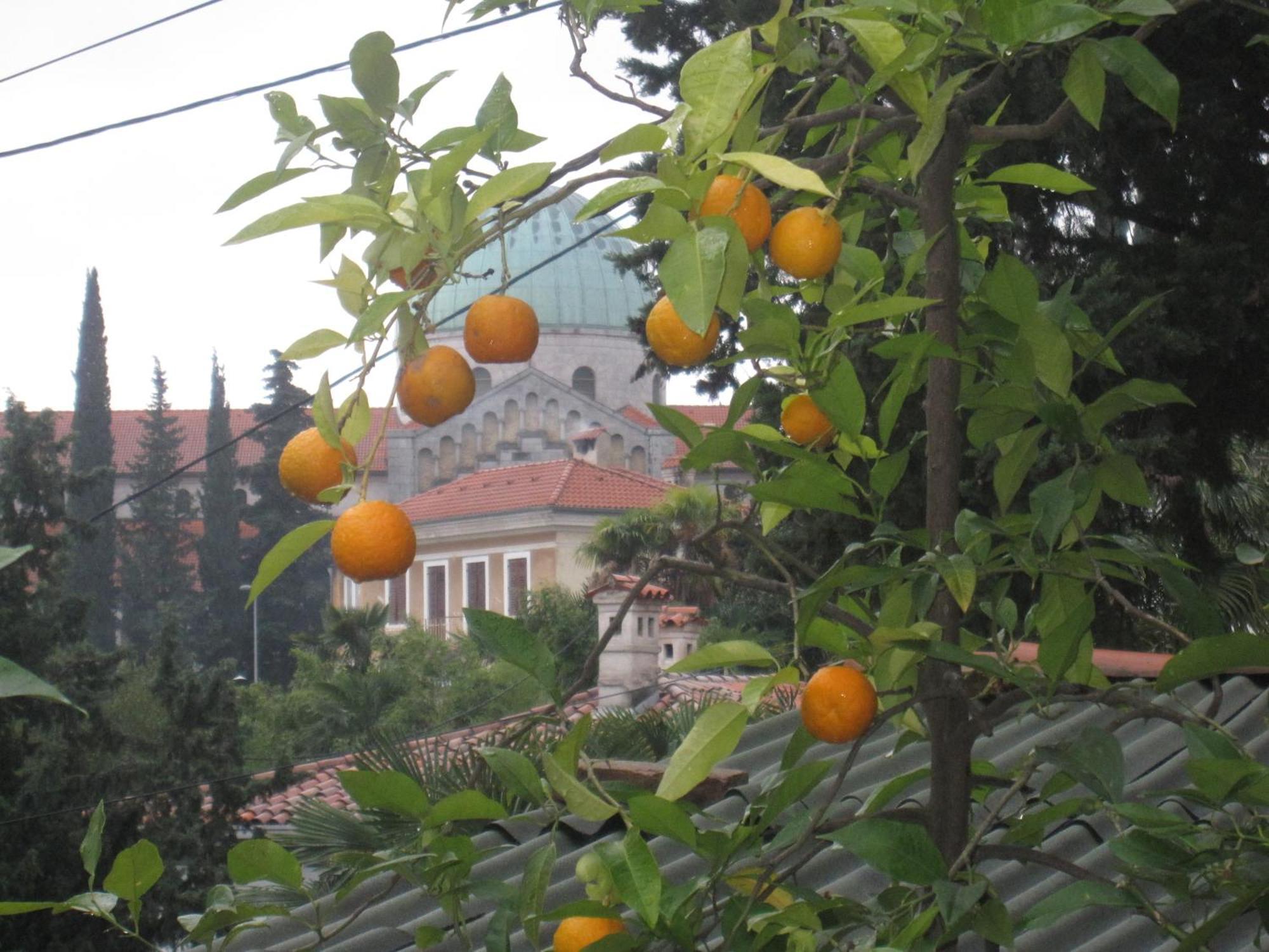 Panoramico Apartment Opatija Zewnętrze zdjęcie